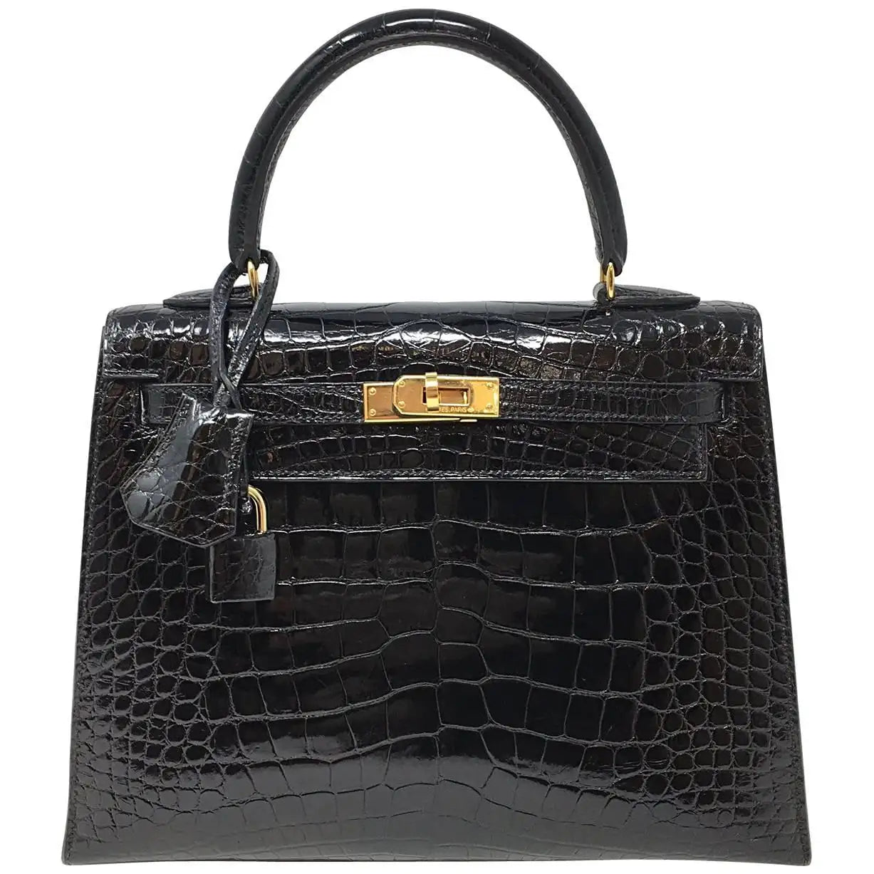 Sac de luxe pour femme / F3000217