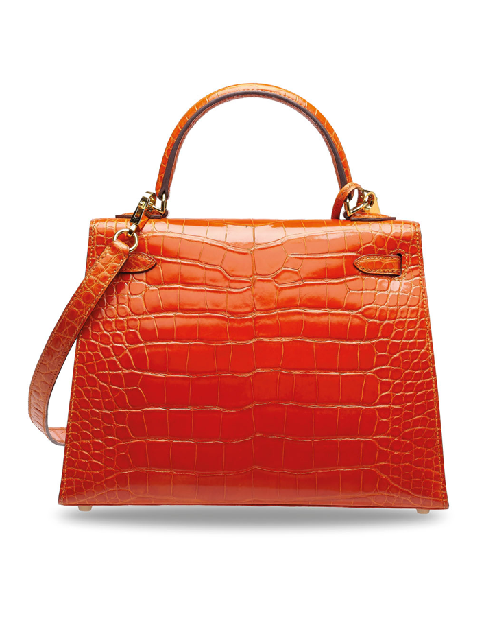 Sac de luxe pour femme / F3000218