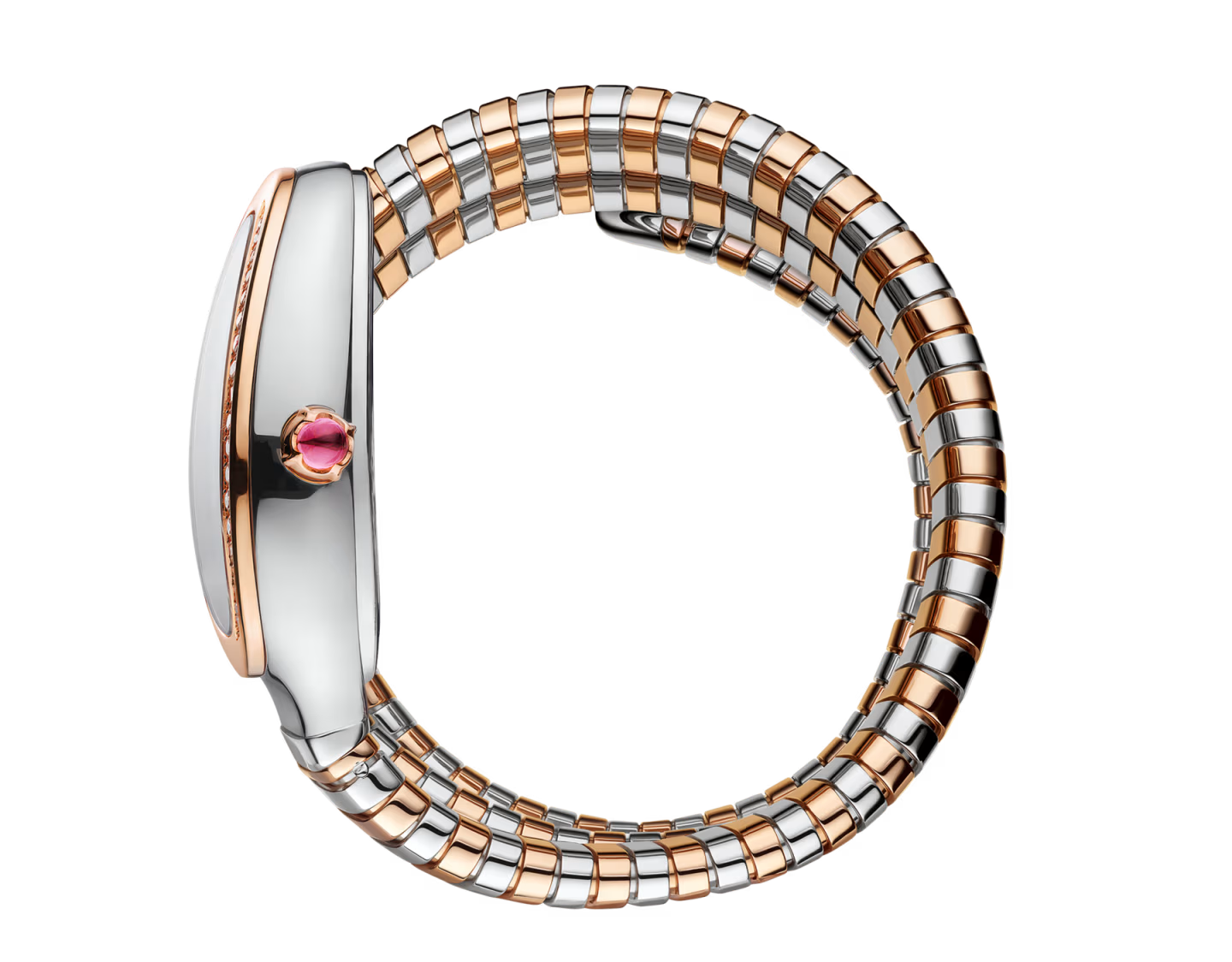Serpenti Tubogas Montre