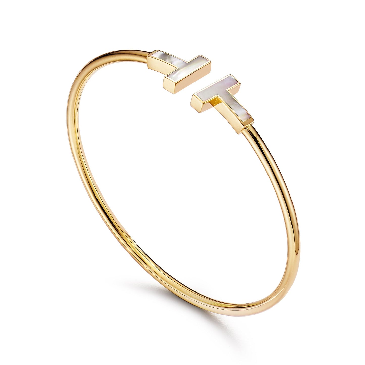 Bracelet de luxe pour femme / CF400017