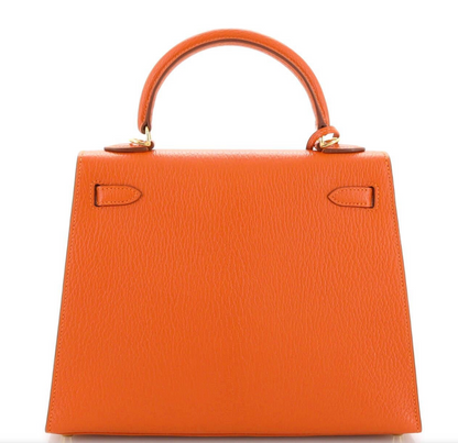 Sac de luxe pour femme / F3000219