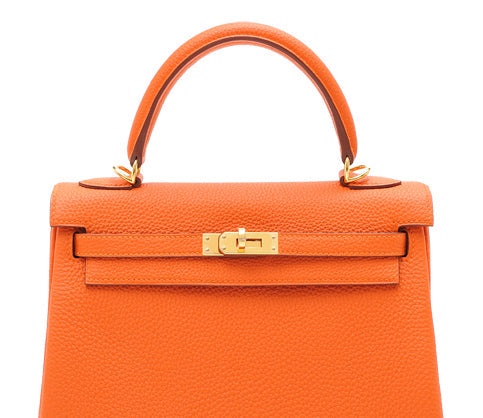 Sac de luxe pour femme / F3000219