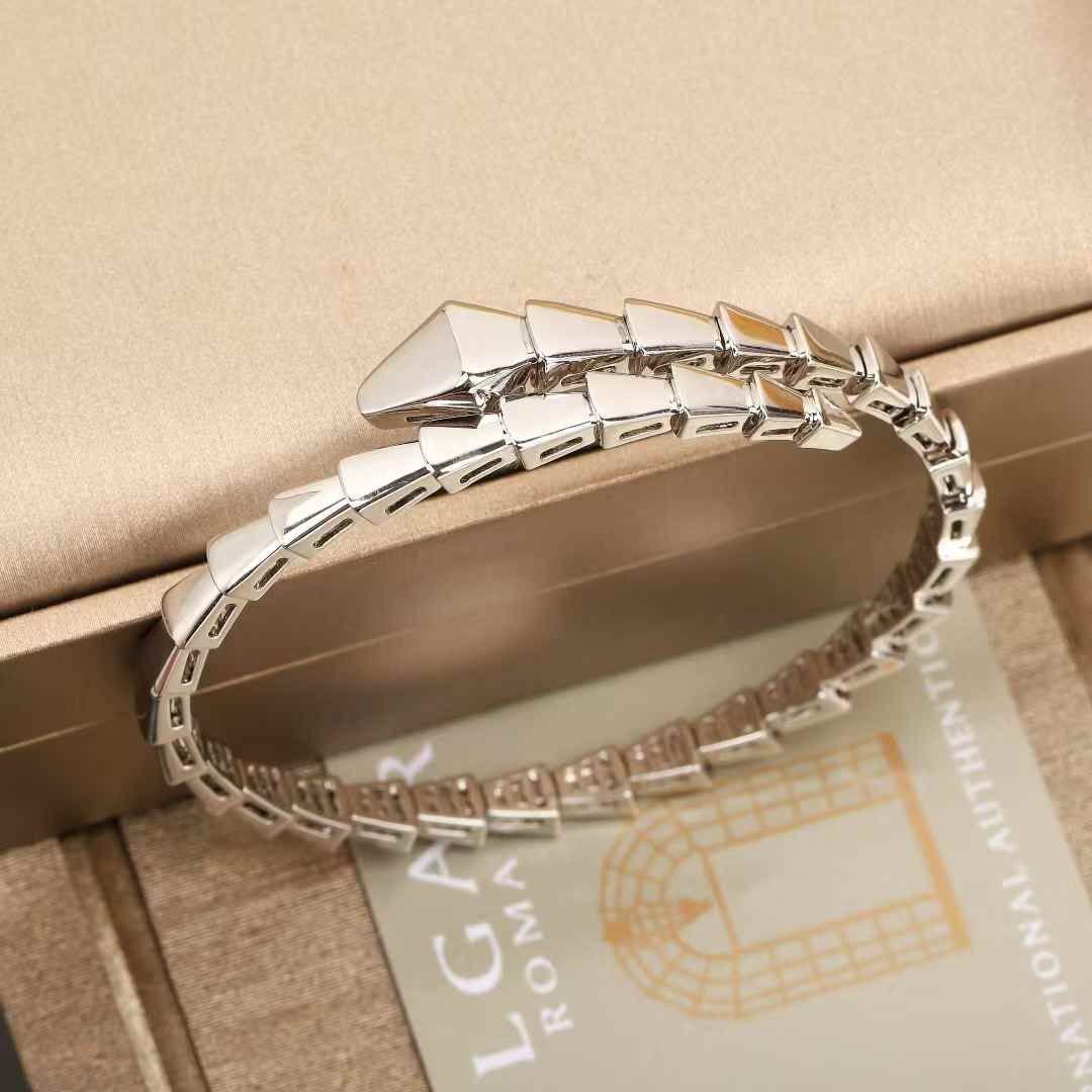 Bracelet de Luxe Pour Femme / F300686